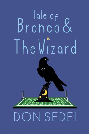 Tale of Bronco & The Wizard cover