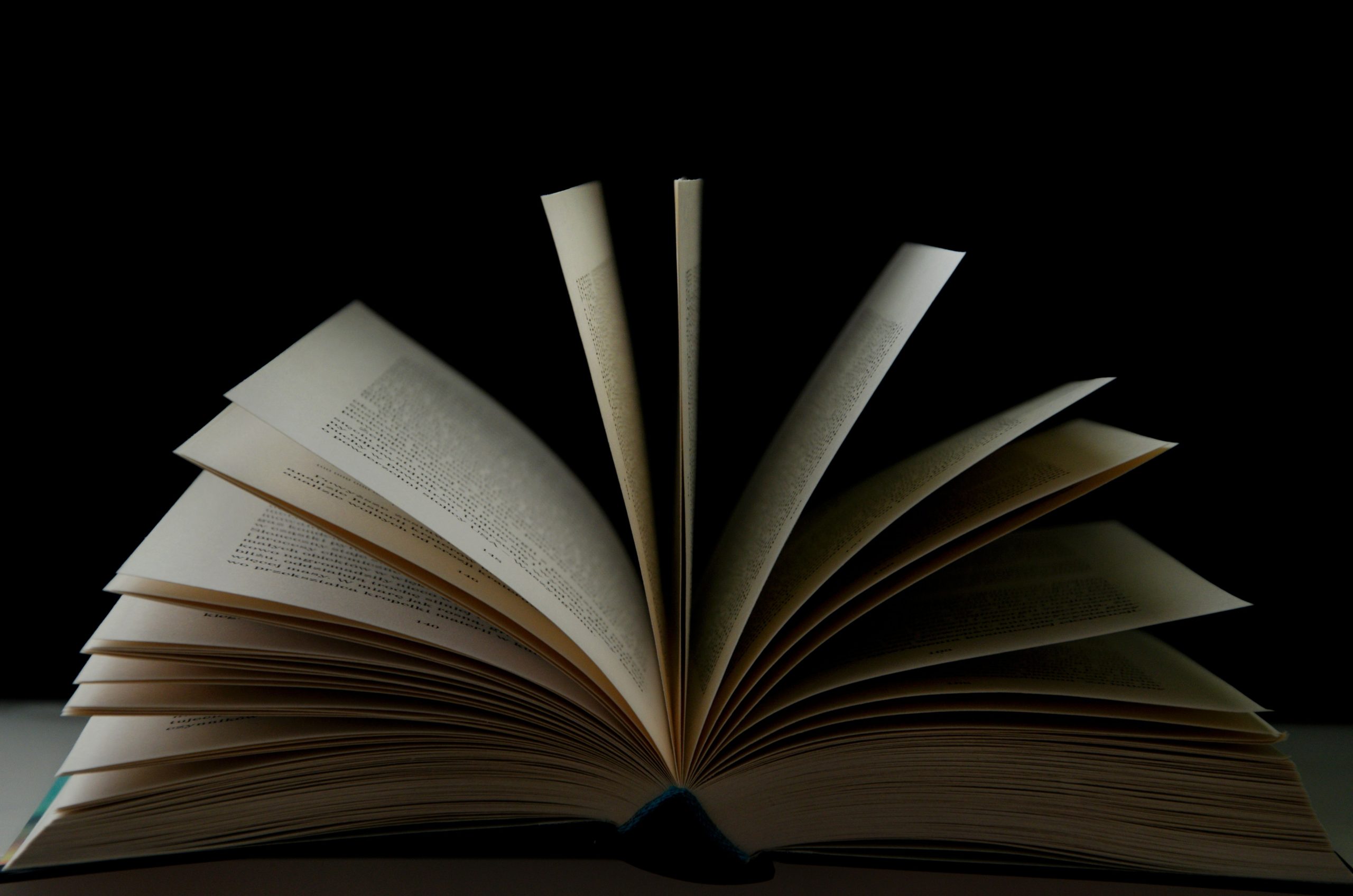 Write a Book Review A guide on How to write a perfect book review