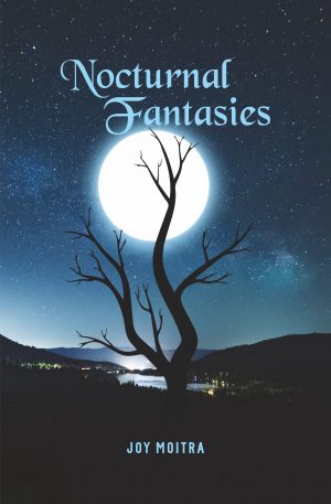 Nocturnal Fantasies cover
