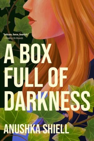 A Box Full of Darkness cover