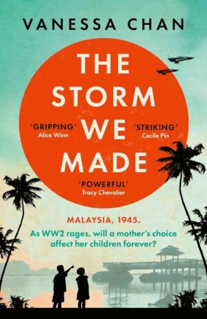 The Storm We Made cover