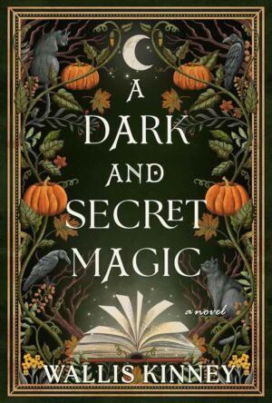 A Dark and Secret Magic cover