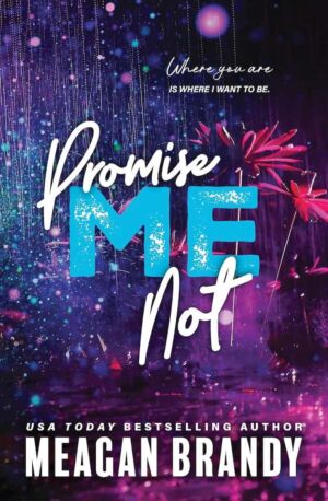 Promise Me Not cover
