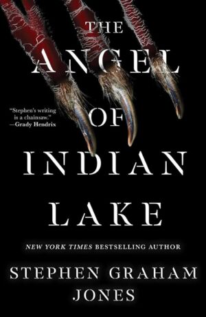 The Angel of Indian Lake cover