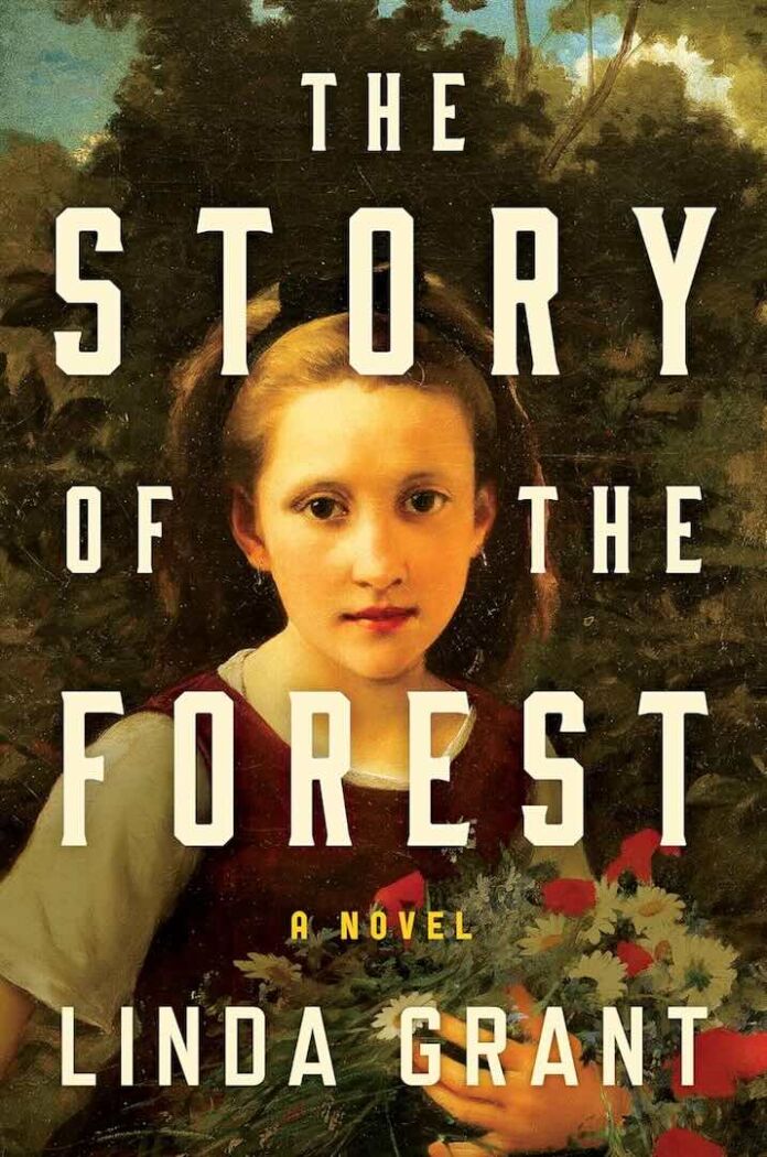 The Story of the Forest by Linda Grant The Story of the Forest by Linda Grant
