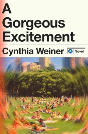 A Gorgeous Excitement cover