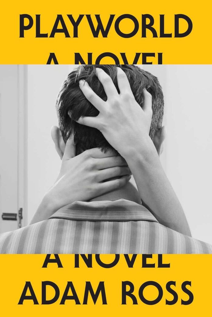 Playworld by Adam Ross Playworld by Adam Ross