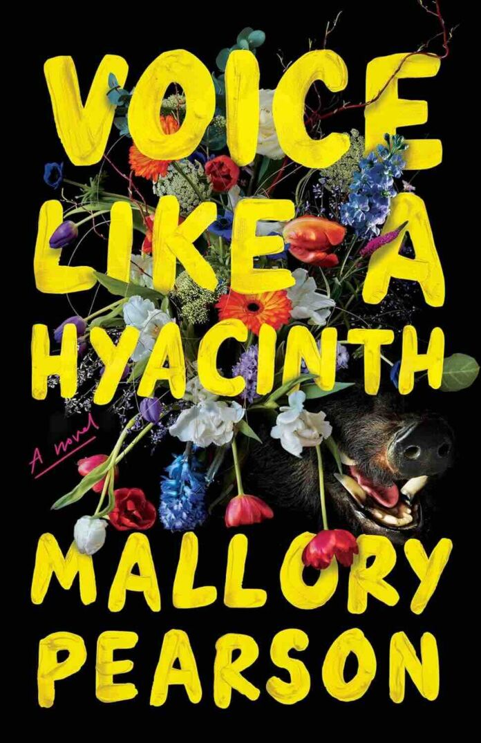 Voice Like a Hyacinth by Mallory Pearson Voice Like a Hyacinth by Mallory Pearson
