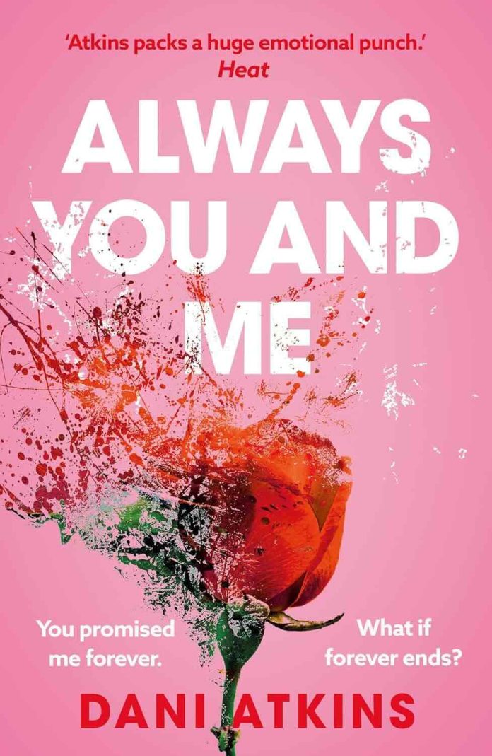 Always You and Me by Dani Atkins