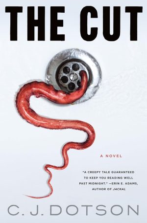 The Cut cover