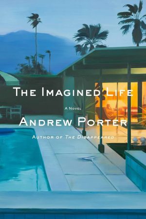 The Imagined Life cover