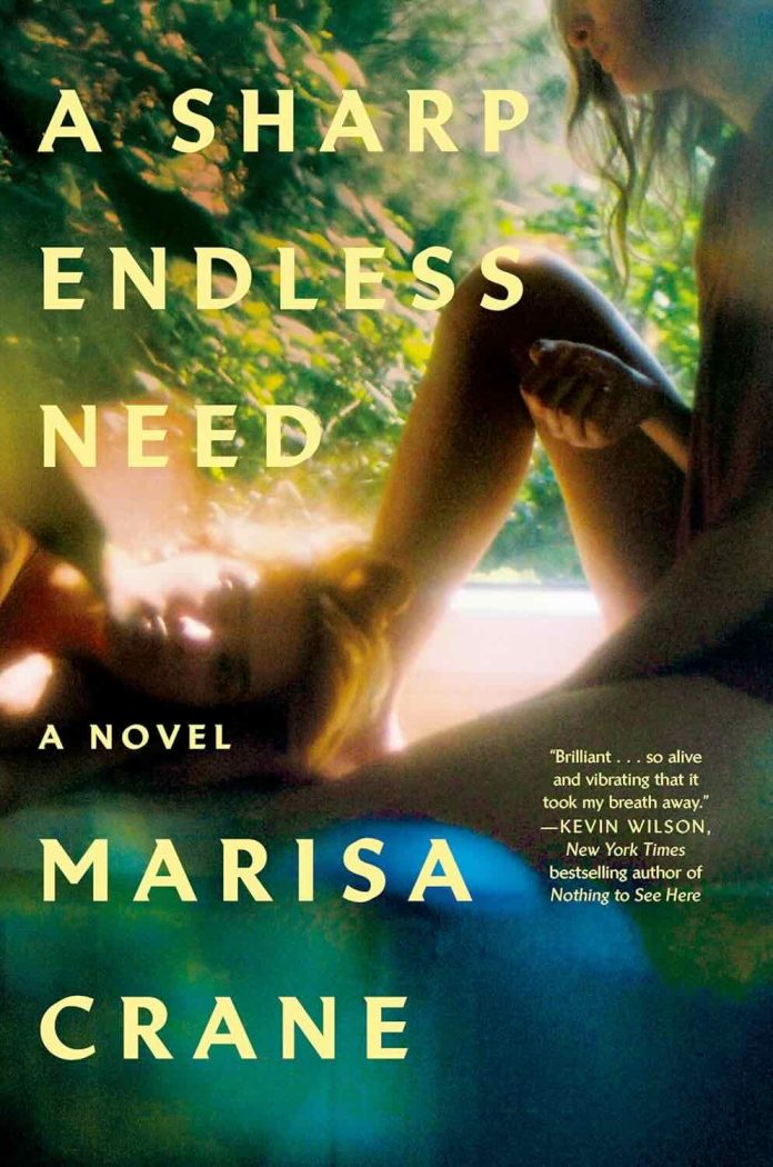 A Sharp Endless Need by Marisa Crane A Sharp Endless Need by Marisa Crane