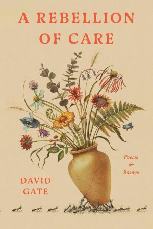 A Rebellion of Care cover