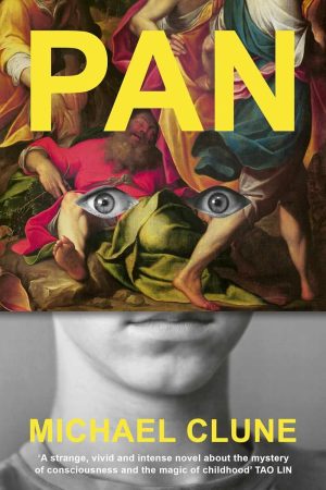 Pan cover