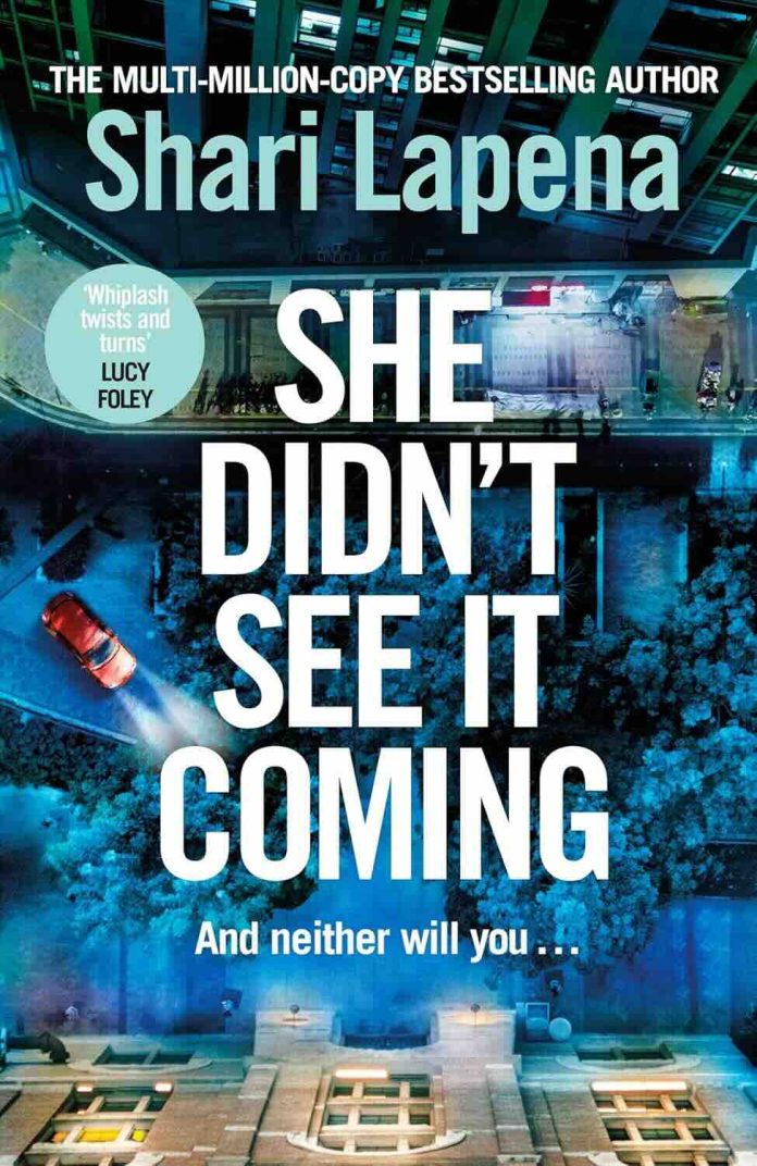 She Didn't See It Coming by Shari Lapena