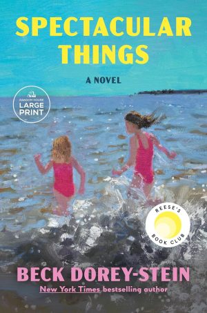 Spectacular Things cover