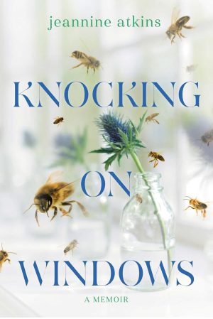 Knocking on Windows cover