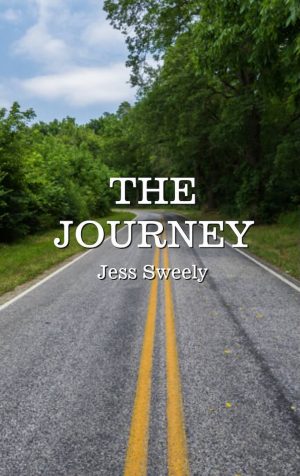 The Journey cover