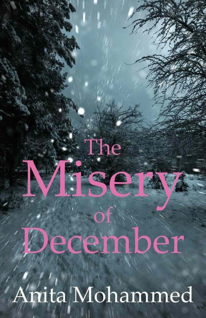 The Misery of December by Anita Mohammed