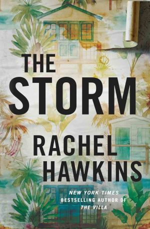The Storm cover