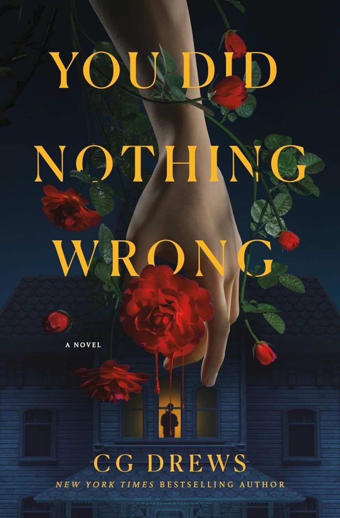 You Did Nothing Wrong by C.G. Drews