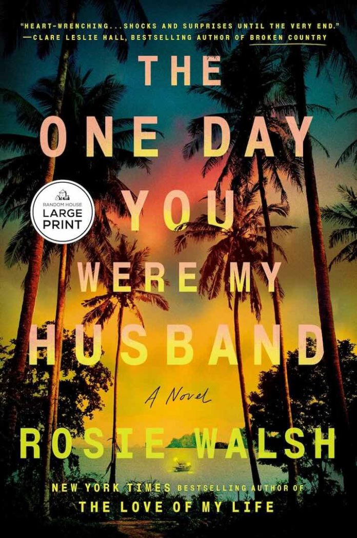 The One Day You Were My Husband by Rosie Walsh