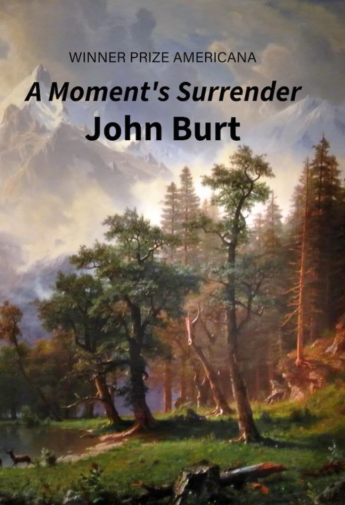 A Moment’s Surrender by John Burt