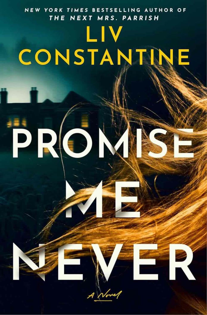 Promise Me Never by Liv Constantine: The Same Dinner, Twice Promise Me Never by Liv Constantine: The Same Dinner, Twice