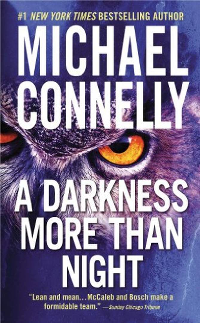 A Darkness More Than Night by Michael Connelly book cover