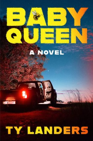 Baby Queen: A Novel cover