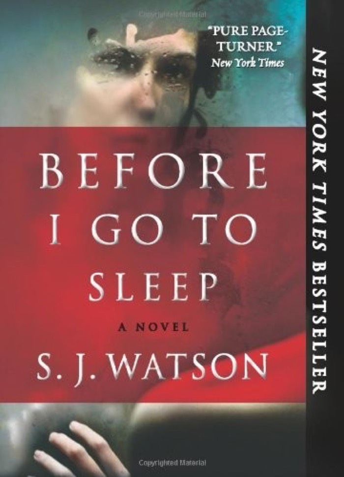 Before I Go to Sleep by S.J. Watson