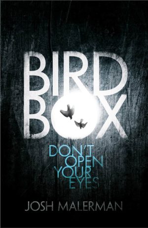 Bird Box cover