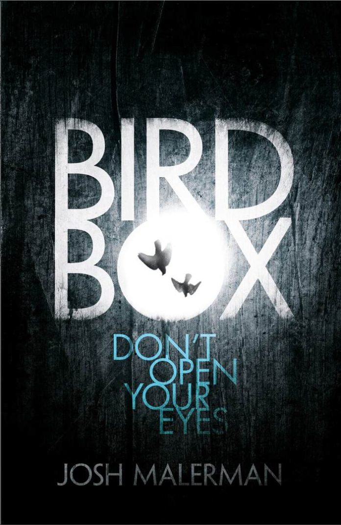 Bird Box cover