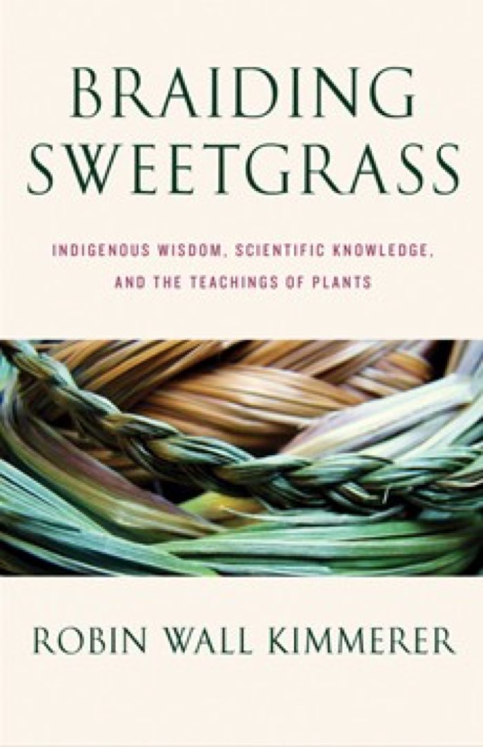 Braiding Sweetgrass by Robin Wall Kimmerer book cover