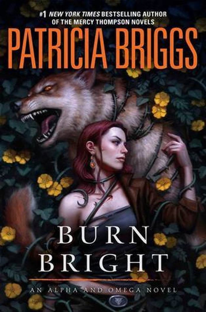 Burn Bright by Patricia Briggs book cover