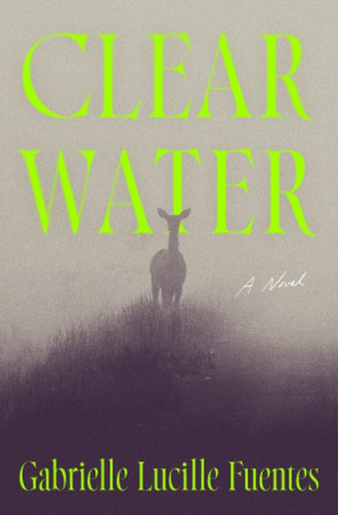 Clear Water by Gabrielle Lucille Fuentes book cover