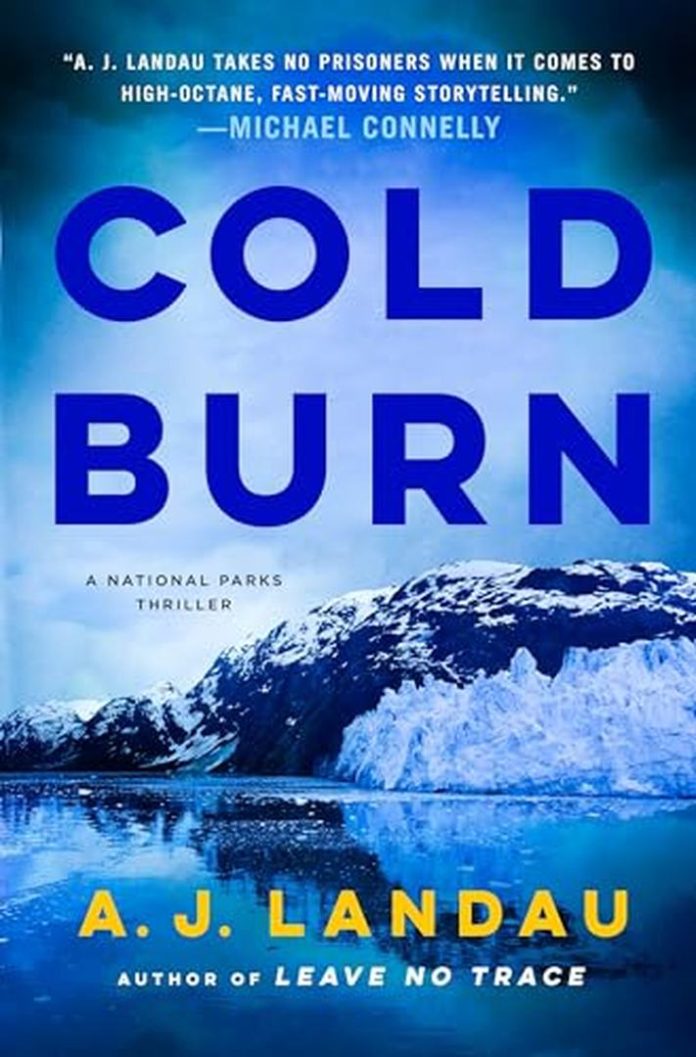 Cold Burn by A.J. Landau book cover