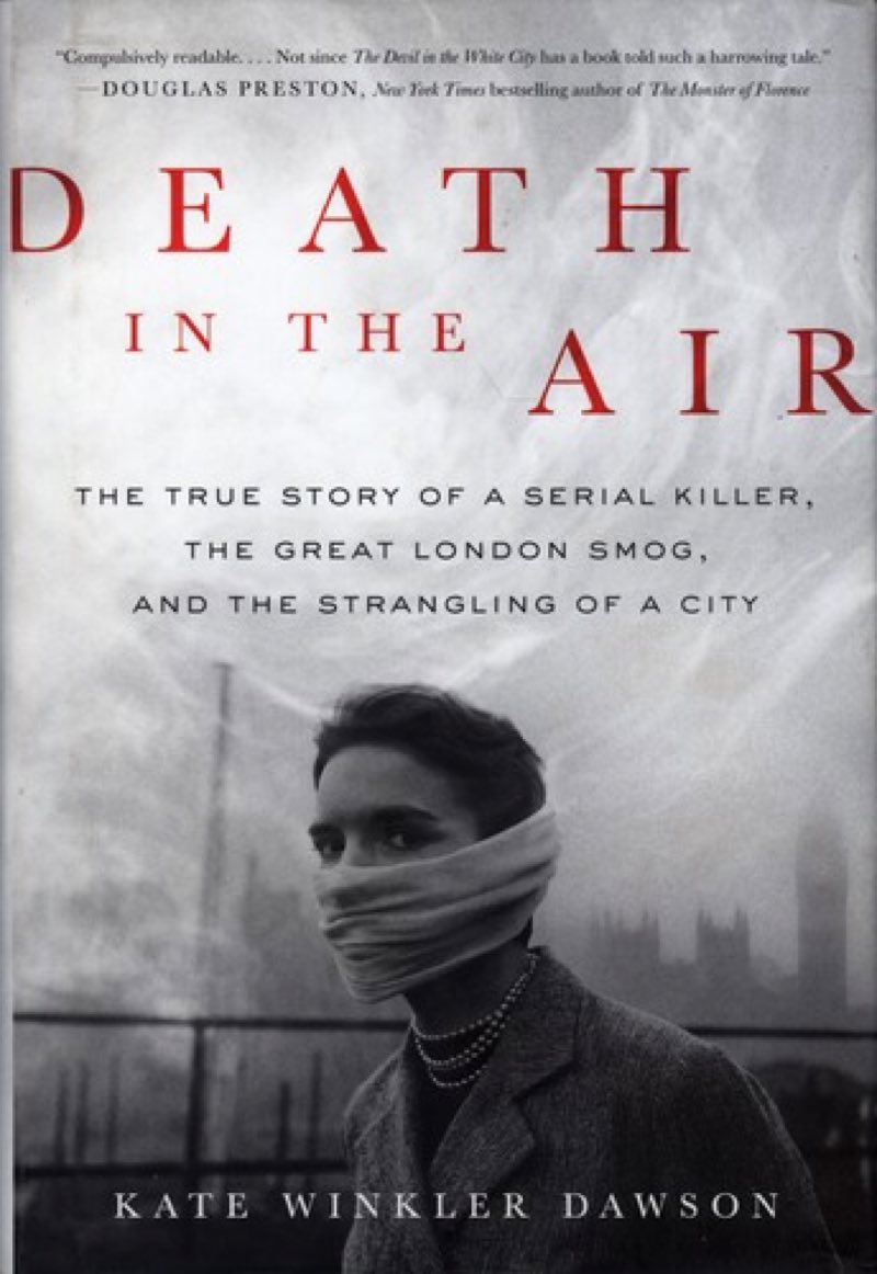 Death in the Air by Kate Winker Dawson
