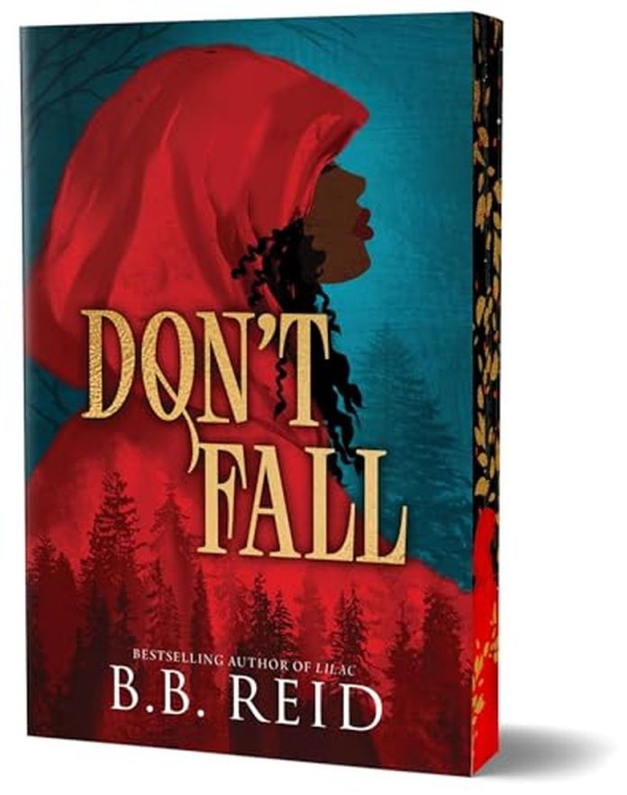 Don’t Fall by B.B. Reid book cover