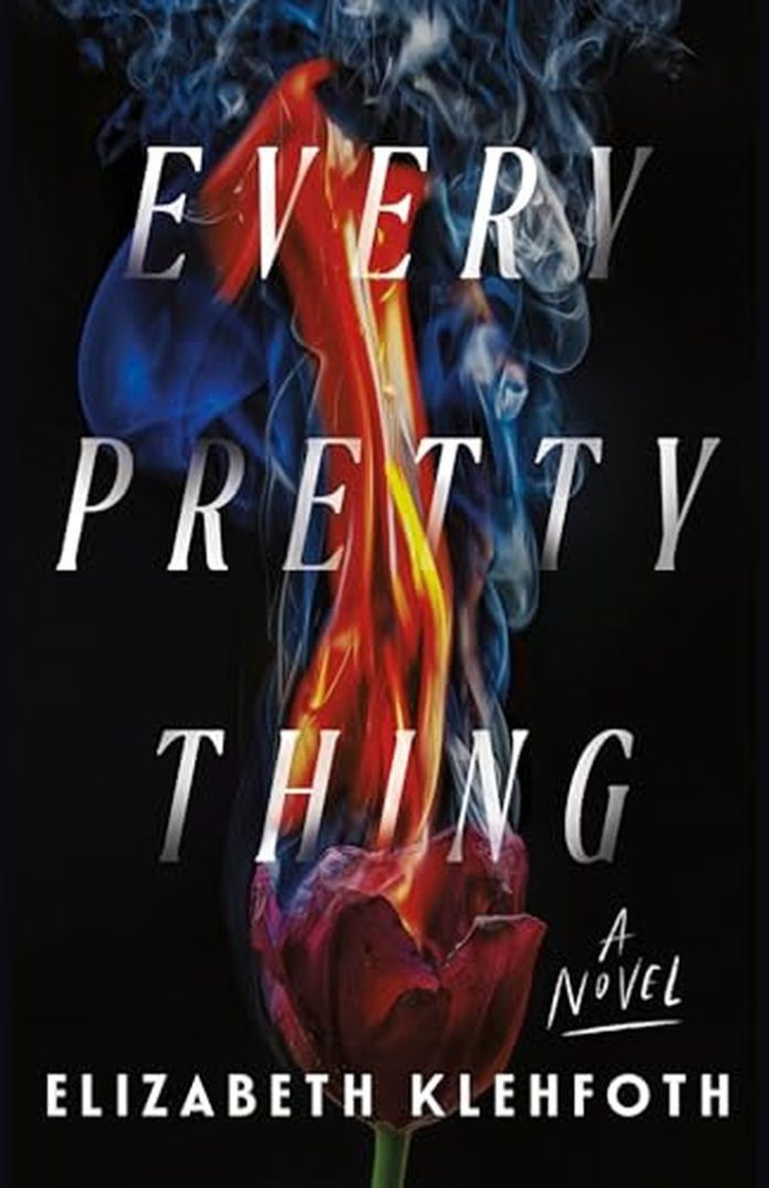Every Pretty Thing: A Novel by Elizabeth Klehfoth book cover
