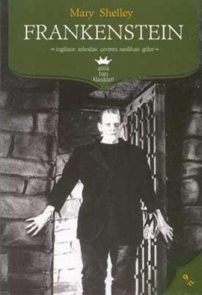 Frankenstein by Mary Shelley book cover