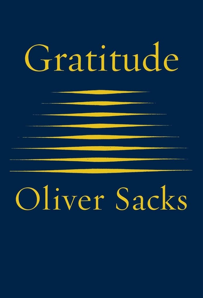 Gratitude cover