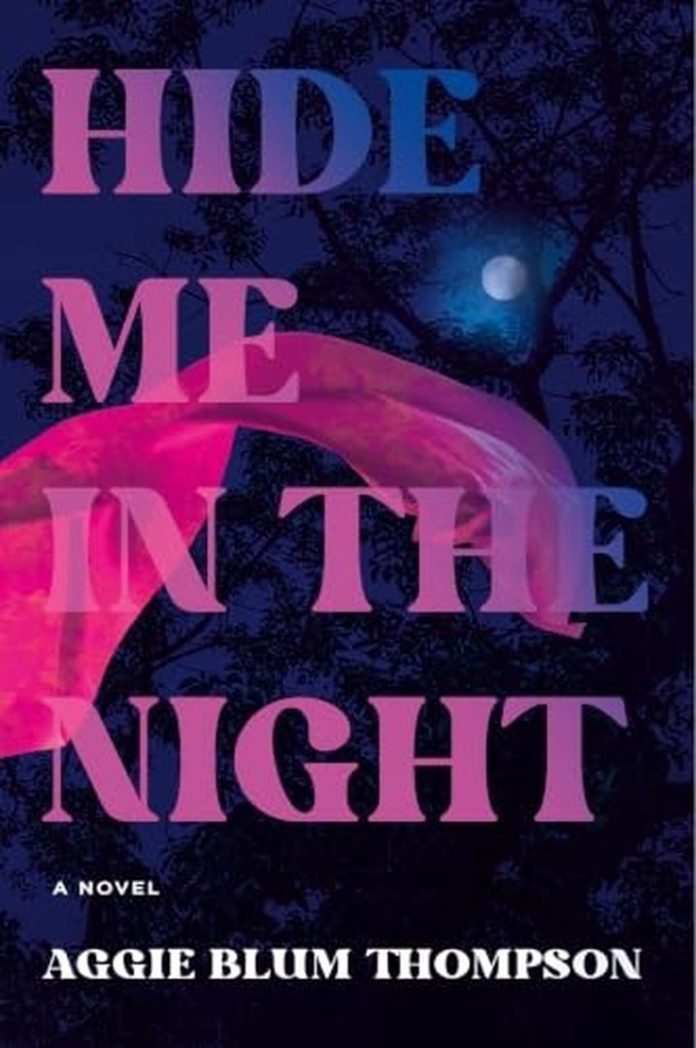Hide Me in the Night by Aggie Blum Thompson book cover