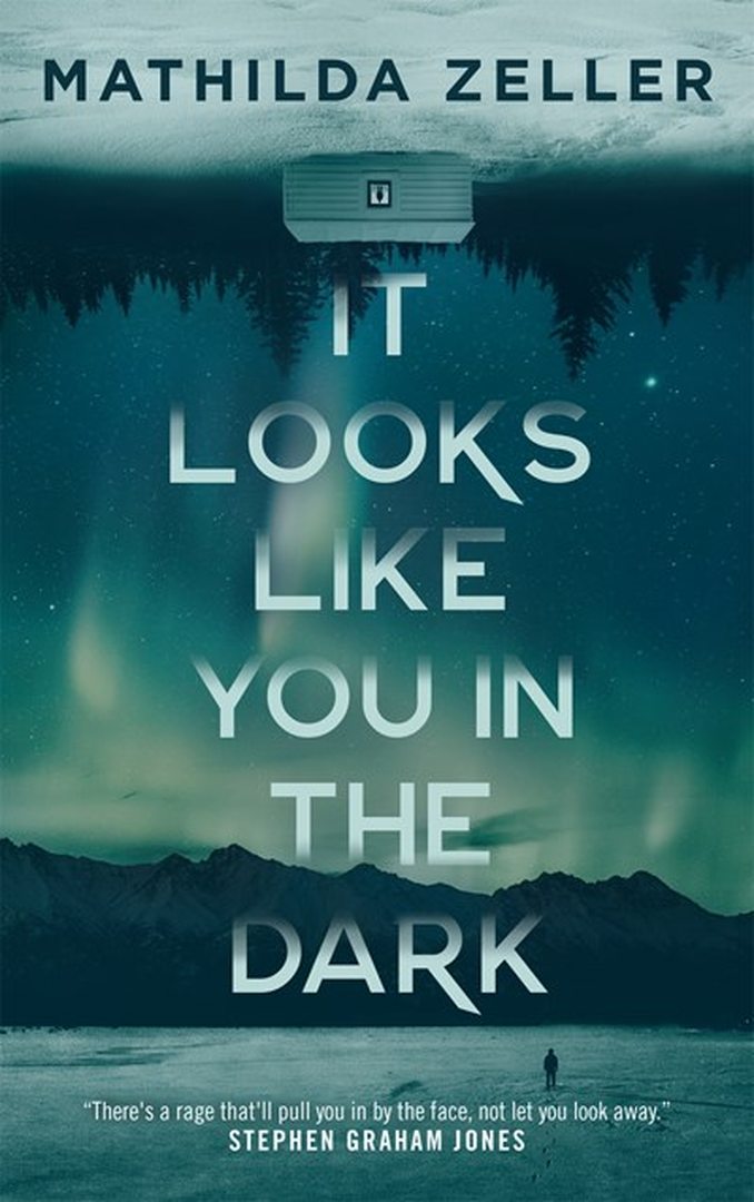 It Looks Like You in the Dark by Mathilda Zeller book cover