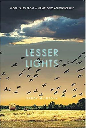 Lesser Lights: More Tales From a Hamptons Apprenticeship cover
