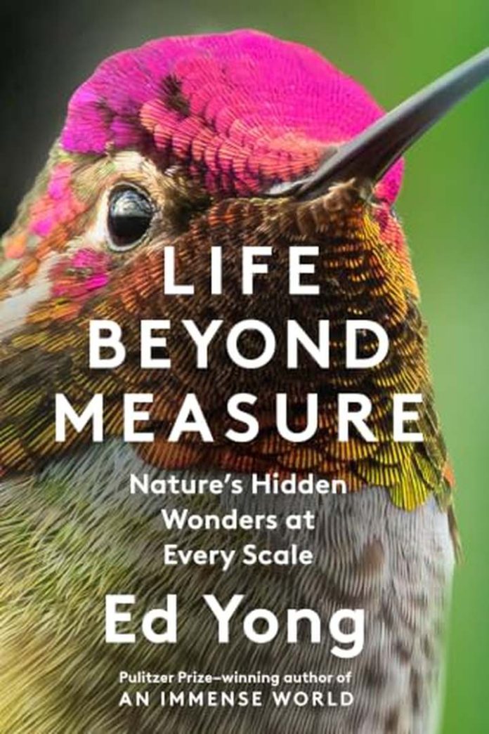 Life Beyond Measure: Nature’s Hidden Wonders at Every Scale by Ed Yong book cover