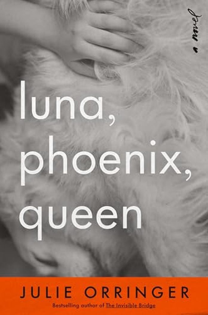 Luna, Phoenix, Queen by Julie Orringer book cover