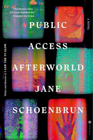 Public Access Afterworld cover