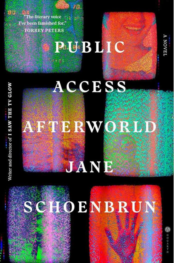 Public Access Afterworld by Jane Schoenbrun book cover