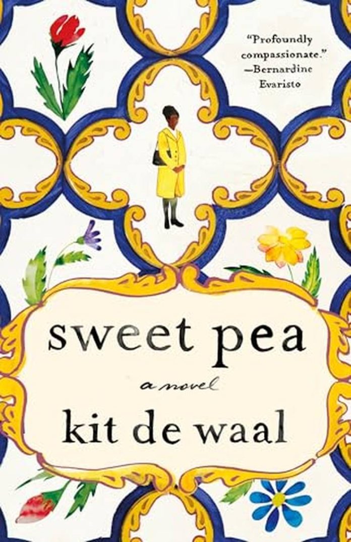 Sweet Pea by Kit de Waal book cover